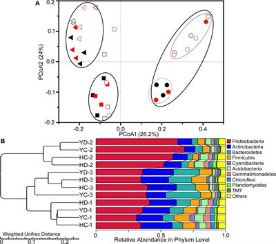 Plant Stage, Not Drought Stress, Determines the Effect of Cultivars on Bacterial Community Diversity in the Rhizosphere of Broomcorn Millet (Panicum miliaceum L.)